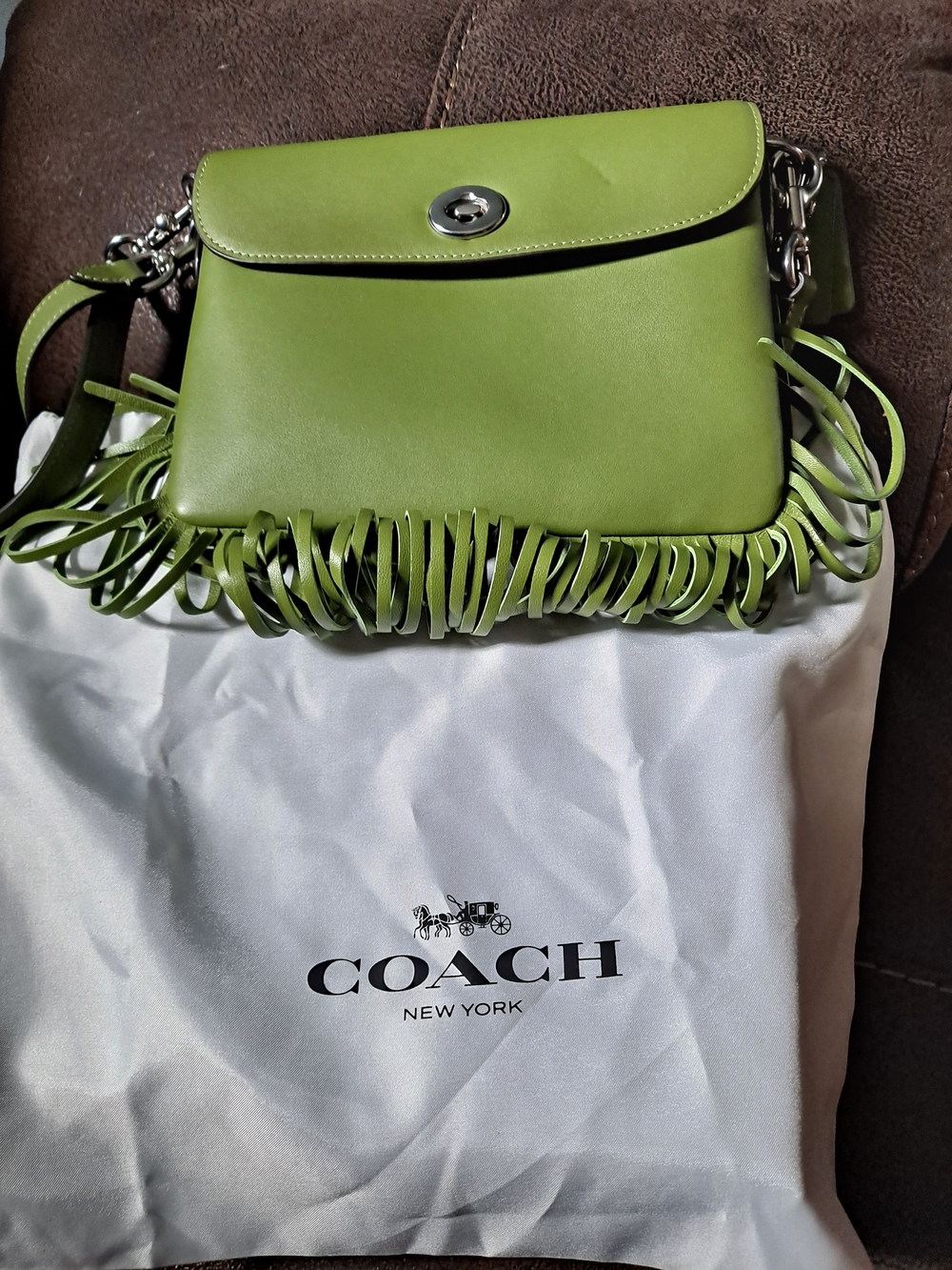 Coach Lime Green Leather Fringe Crossbody Bag